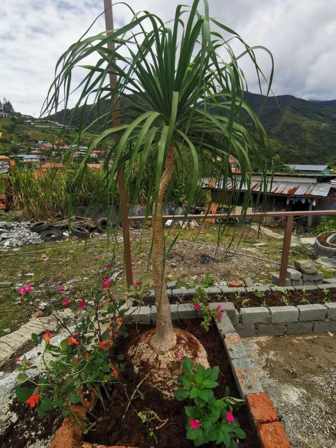 Dreamcatcher Homestay, Kundasang Ранау Екстериор снимка